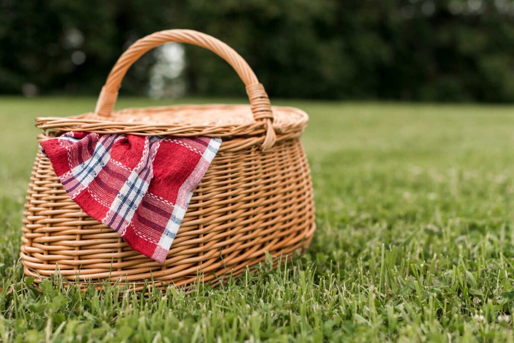 Picnic-in-cilento-5
